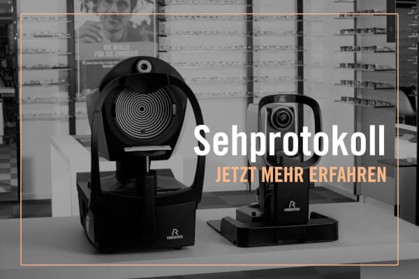 Sehprotokoll - Bild von DNEye Scanner